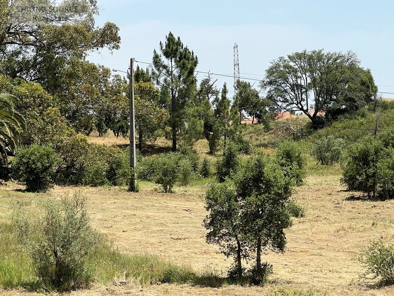 Plot for Sale in Gâmbia-pontes-alto Da Guerra, Setúbal 18