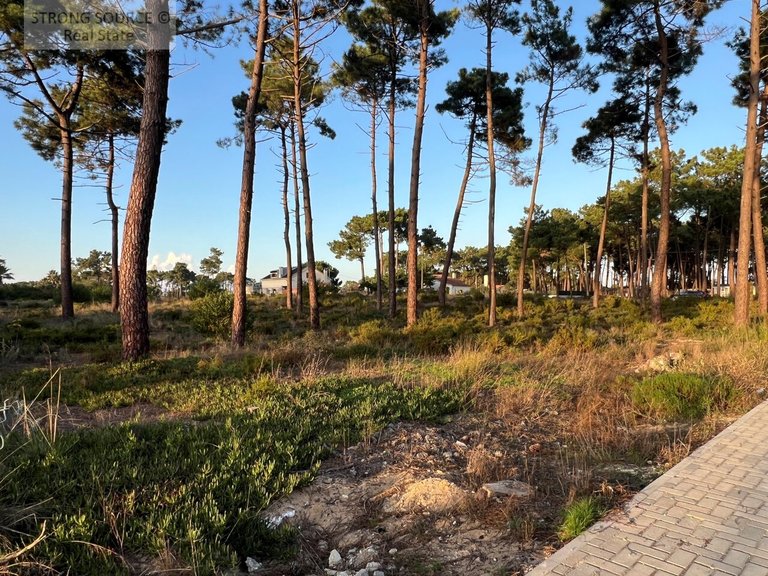 Plot for Sale in União Das Freguesias De Charneca De Caparica E Sobreda, Almada 3