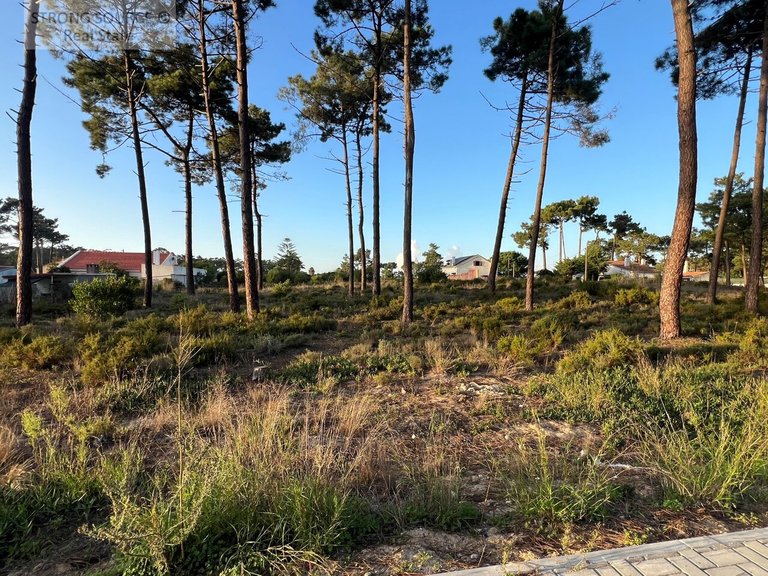 Plot for Sale in União Das Freguesias De Charneca De Caparica E Sobreda, Almada 4