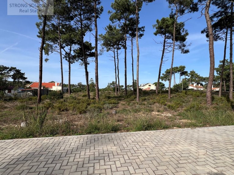Plot for Sale in União Das Freguesias De Charneca De Caparica E Sobreda, Almada 5