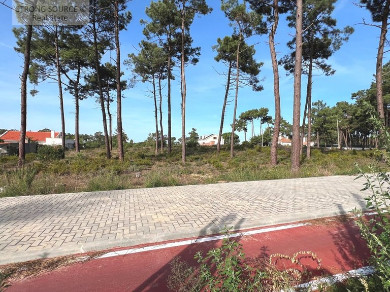 Plot for Sale in União Das Freguesias De Charneca De Caparica E Sobreda, Almada 6