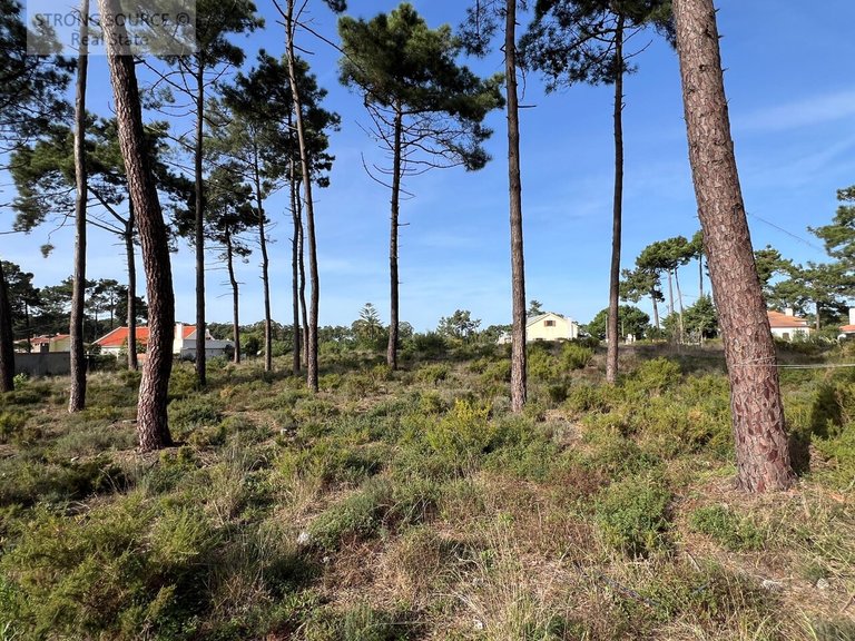 Plot for Sale in União Das Freguesias De Charneca De Caparica E Sobreda, Almada 10