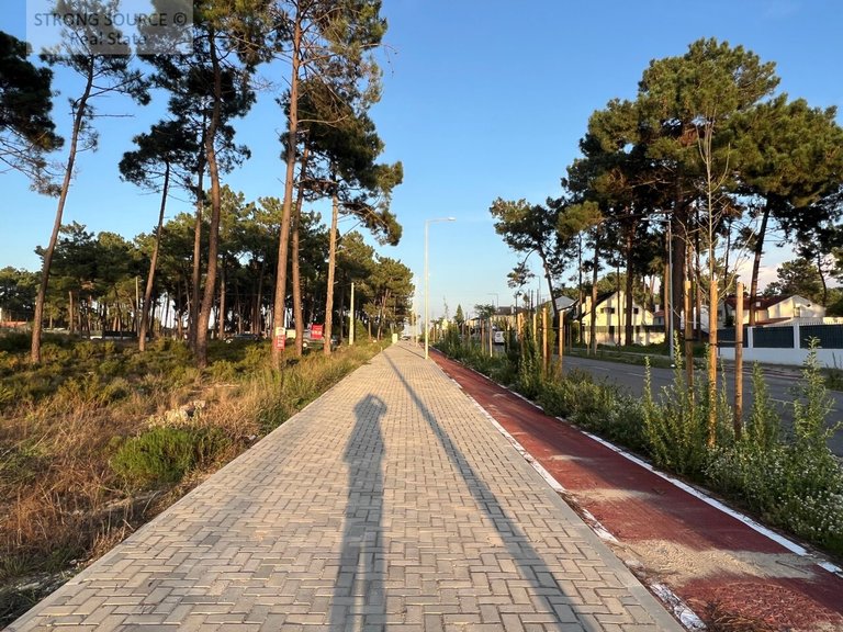 Plot for Sale in União Das Freguesias De Charneca De Caparica E Sobreda, Almada 11