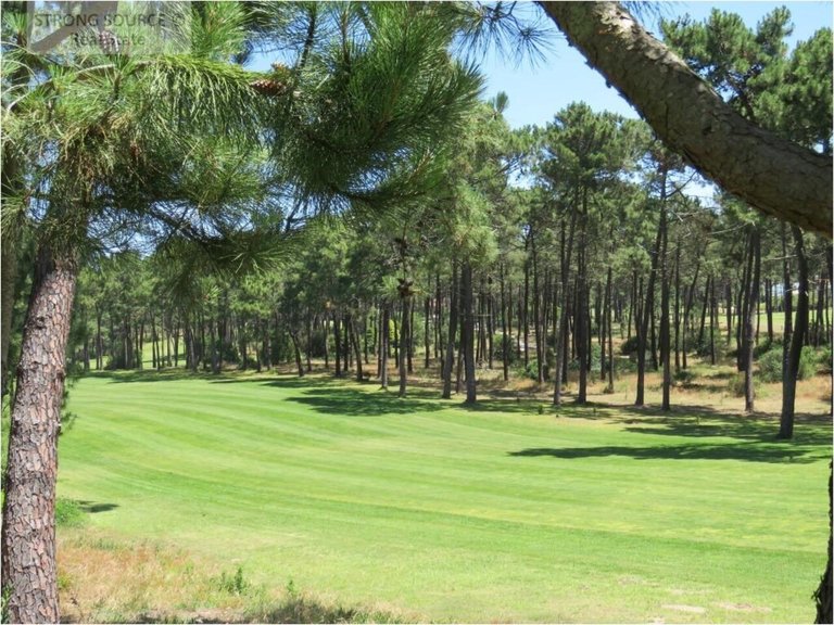 Plot for Sale in União Das Freguesias De Charneca De Caparica E Sobreda, Almada 50