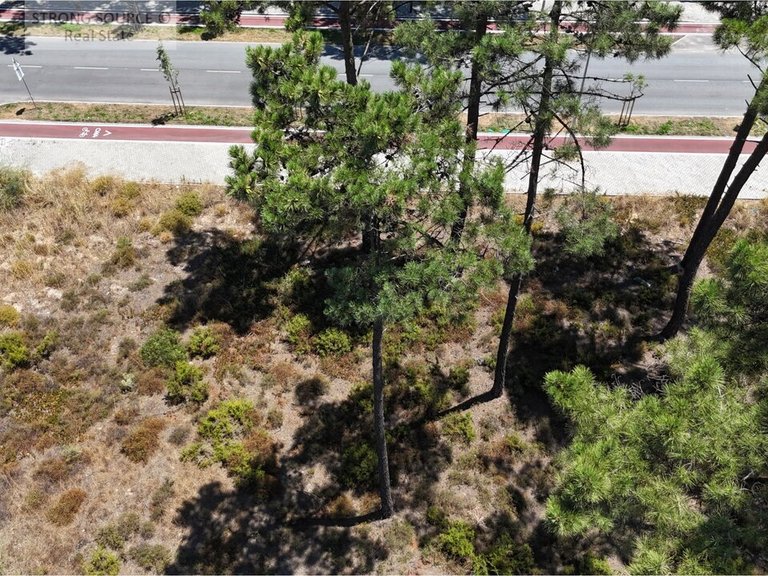 Plot for Sale in União Das Freguesias De Charneca De Caparica E Sobreda, Almada 5
