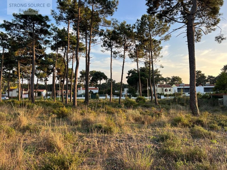Plot for Sale in União Das Freguesias De Charneca De Caparica E Sobreda, Almada 13