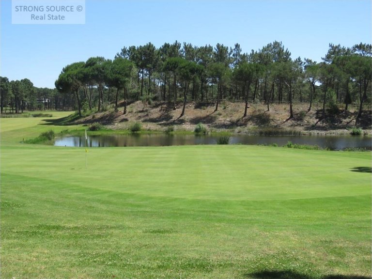 Plot for Sale in União Das Freguesias De Charneca De Caparica E Sobreda, Almada 40