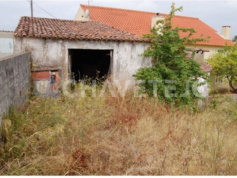 Plot for Sale in União Das Freguesias De Tomar (são João Batista) E Santa Maria Dos Olivais, Tomar 2