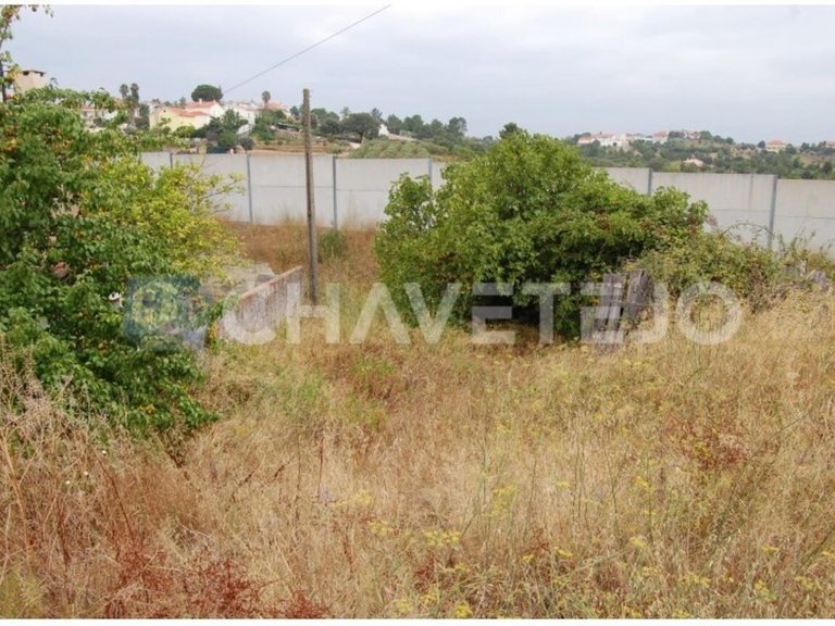Plot for Sale in União Das Freguesias De Tomar (são João Batista) E Santa Maria Dos Olivais, Tomar 3