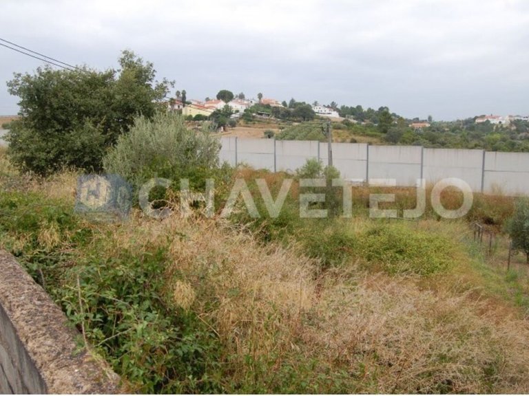 Plot for Sale in União Das Freguesias De Tomar (são João Batista) E Santa Maria Dos Olivais, Tomar 4