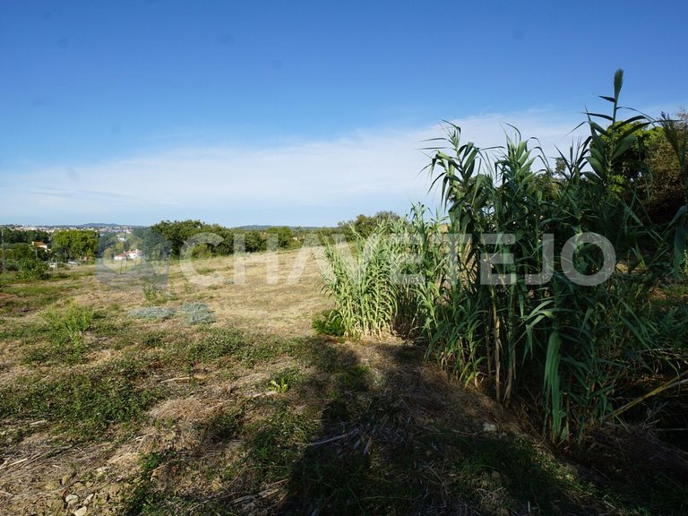 Plot for Sale in União Das Freguesias De Tomar (são João Batista) E Santa Maria Dos Olivais, Tomar 4
