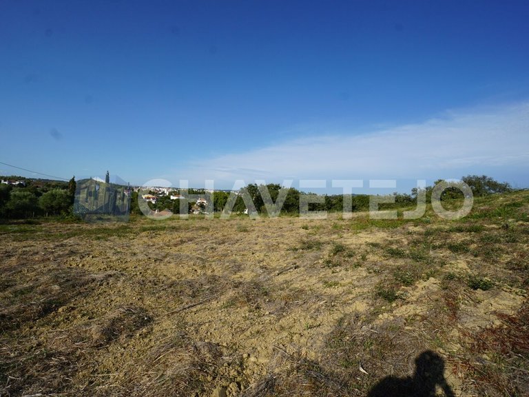 Plot for Sale in União Das Freguesias De Tomar (são João Batista) E Santa Maria Dos Olivais, Tomar 5