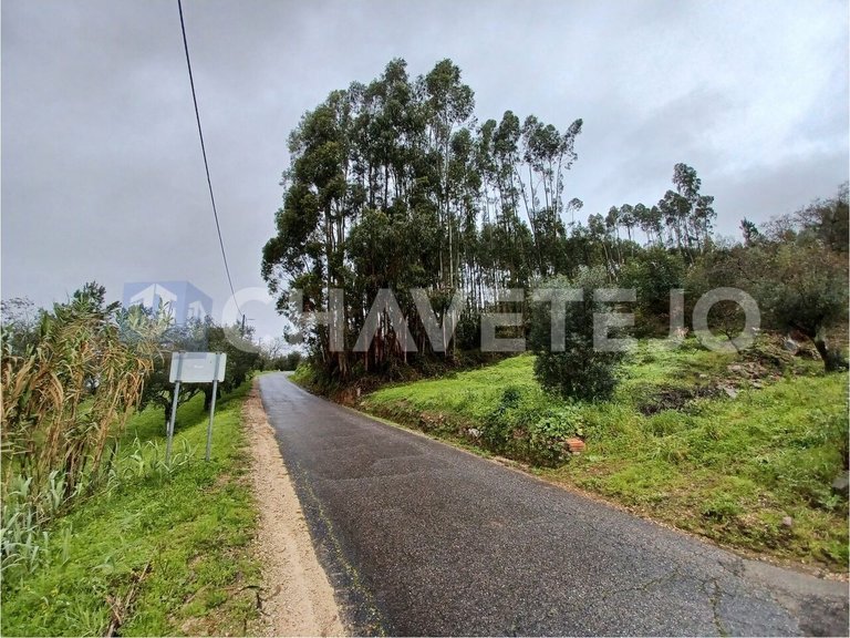 Plot for Sale in União Das Freguesias De Areias E Pias, Ferreira Do Zêzere 1