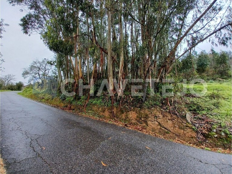 Plot for Sale in União Das Freguesias De Areias E Pias, Ferreira Do Zêzere 2