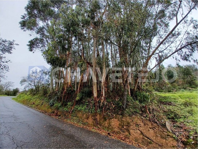 Plot for Sale in União Das Freguesias De Areias E Pias, Ferreira Do Zêzere 3