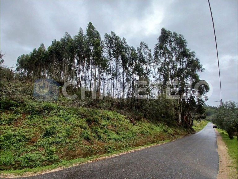 Plot for Sale in União Das Freguesias De Areias E Pias, Ferreira Do Zêzere 4