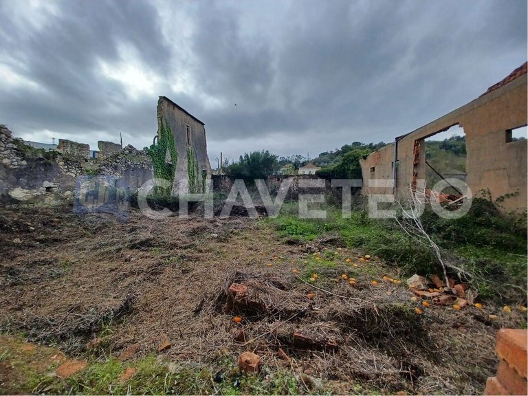 Commercial for Sale in União Das Freguesias De Madalena E Beselga, Tomar 10