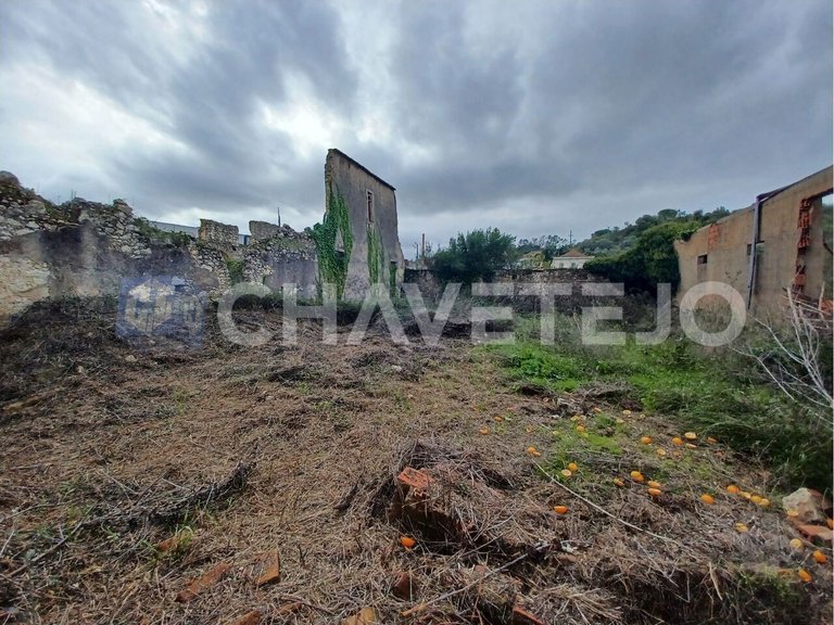 Commercial for Sale in União Das Freguesias De Madalena E Beselga, Tomar 13