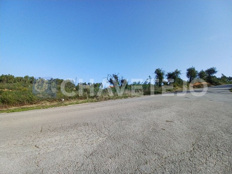 Plot for Sale in Asseiceira, Tomar 1