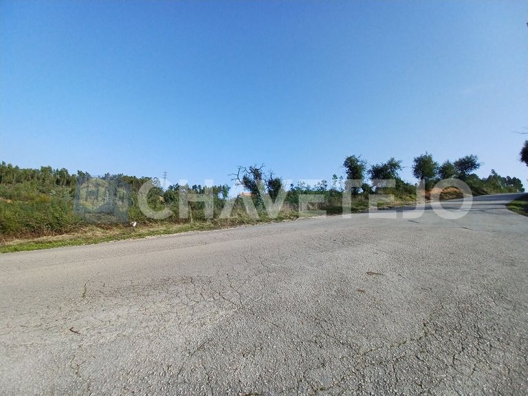 Plot for Sale in Asseiceira, Tomar 3