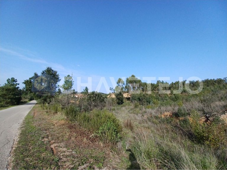 Plot for Sale in Asseiceira, Tomar 4