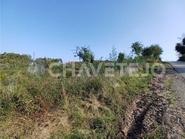 Plot for Sale in Asseiceira, Tomar 6