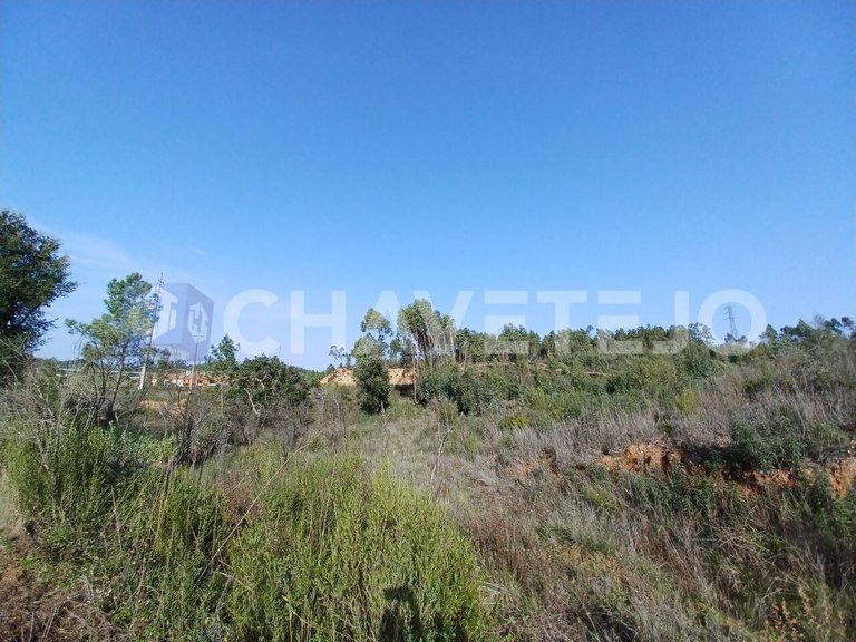 Plot for Sale in Asseiceira, Tomar 5