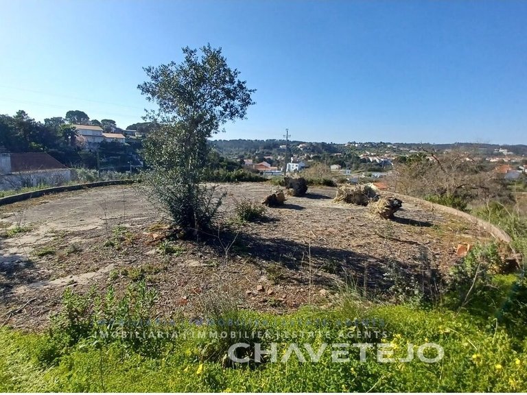 Plot for Sale in Carregueiros, Tomar 3