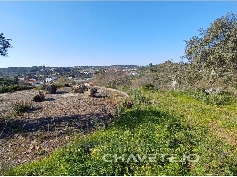 Plot for Sale in Carregueiros, Tomar 4