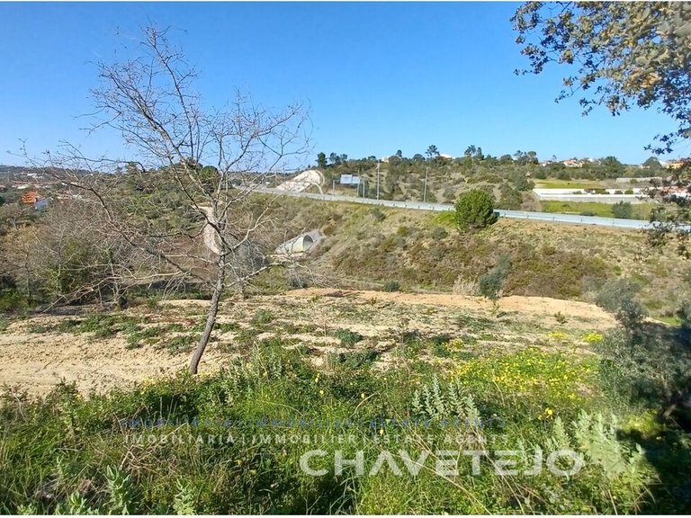 Plot for Sale in Carregueiros, Tomar 5