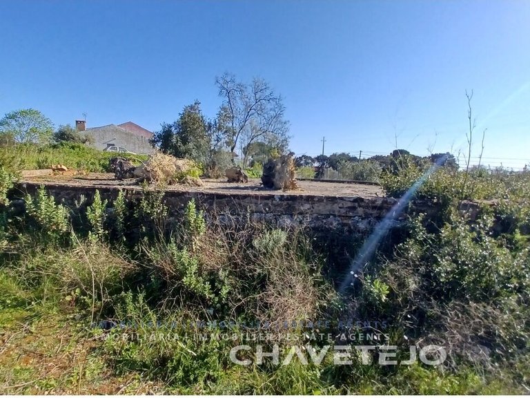 Plot for Sale in Carregueiros, Tomar 7