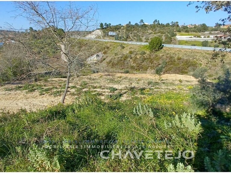 Plot for Sale in Carregueiros, Tomar 8
