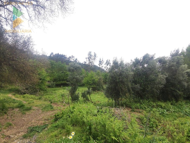 Villa for Sale in Anais, Ponte De Lima, Portugal 6