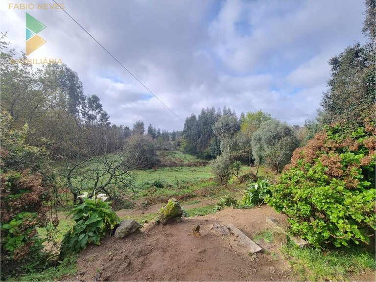 Villa for Sale in Anais, Ponte De Lima, Portugal 10