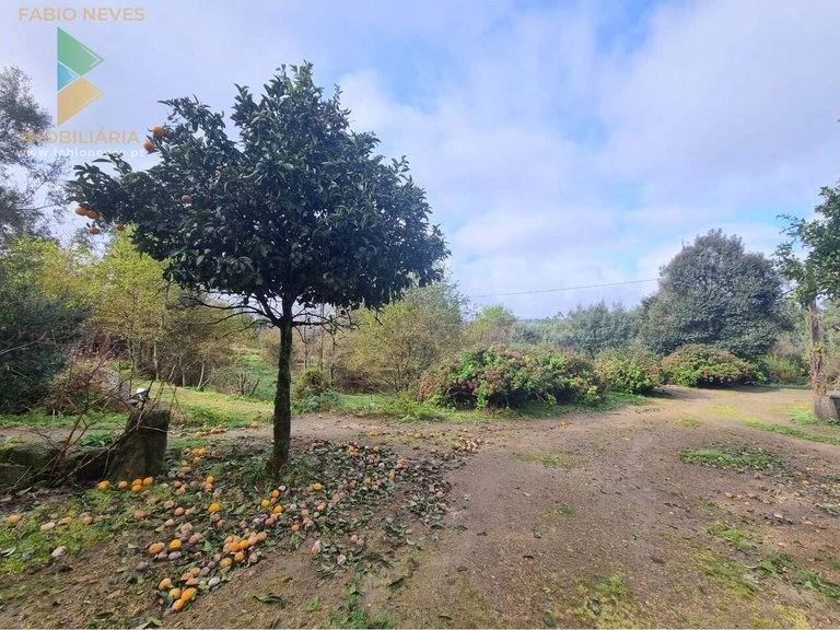 Villa for Sale in Anais, Ponte De Lima, Portugal 11