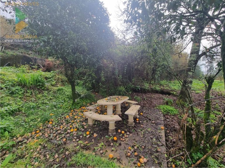 Villa for Sale in Anais, Ponte De Lima, Portugal 3