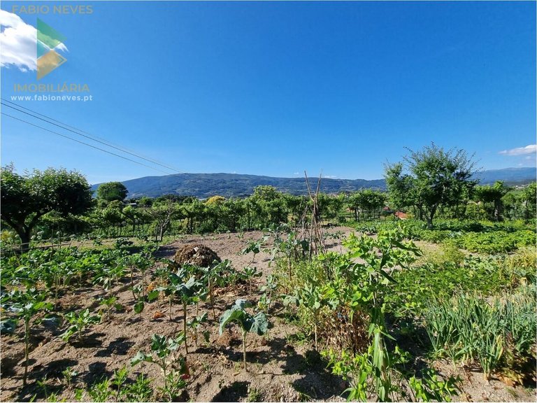 Villa for Sale in Gondufe, Ponte De Lima, Portugal 50