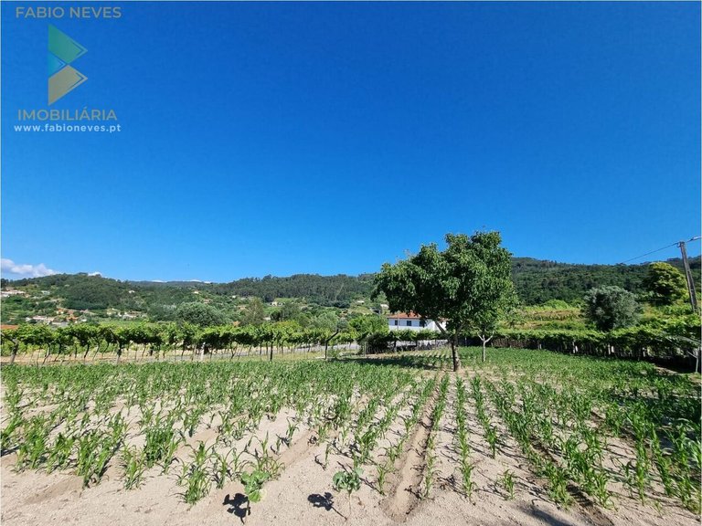 Villa for Sale in Gondufe, Ponte De Lima, Portugal 48