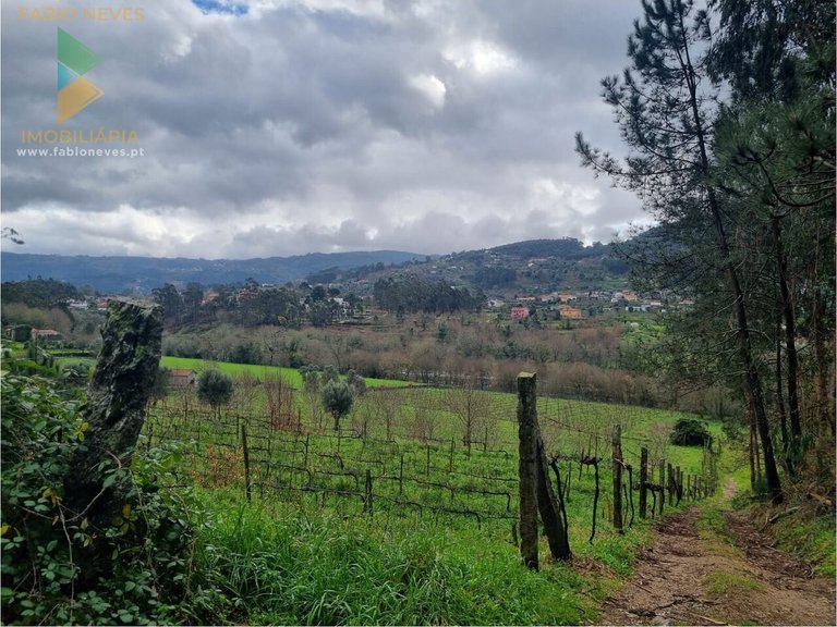 Plot for Sale in Refóios Do Lima, Ponte De Lima, Portugal 2