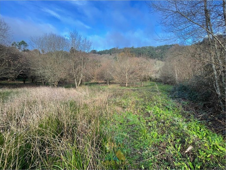 Plot for Sale in Rio Cabrão, Arcos De Valdevez, Portugal 3