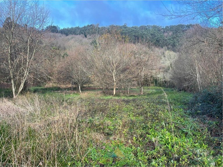 Plot for Sale in Rio Cabrão, Arcos De Valdevez, Portugal 8