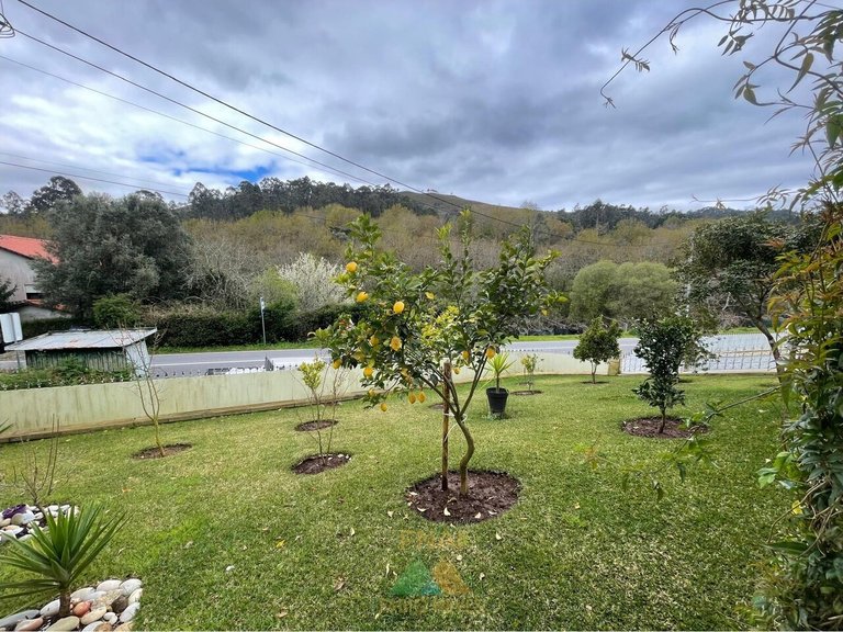 Villa for Sale in Rebordões (santa Maria), Ponte De Lima, Portugal 16