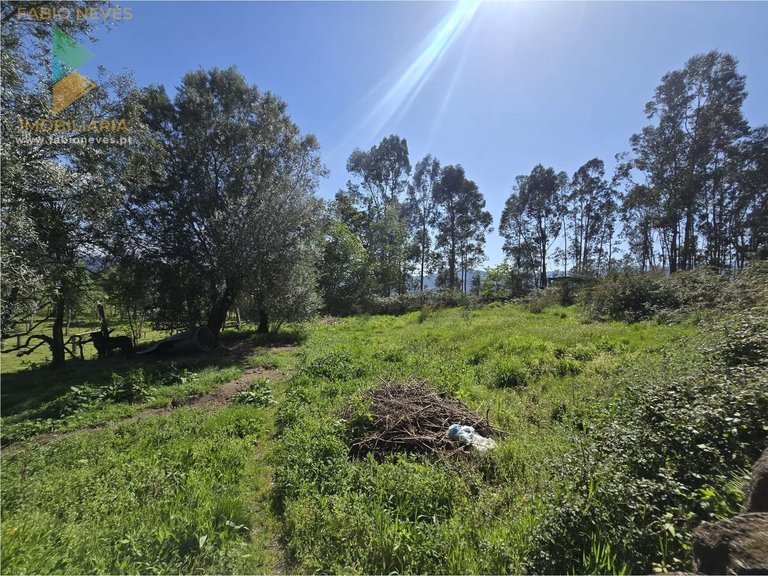 Villa for Sale in Gondoriz, Arcos De Valdevez, Portugal 5