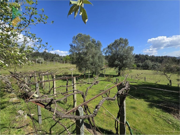 Villa for Sale in Gondoriz, Arcos De Valdevez, Portugal 7