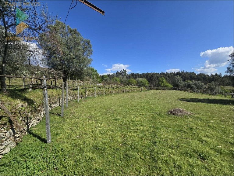 Villa for Sale in Gondoriz, Arcos De Valdevez, Portugal 8