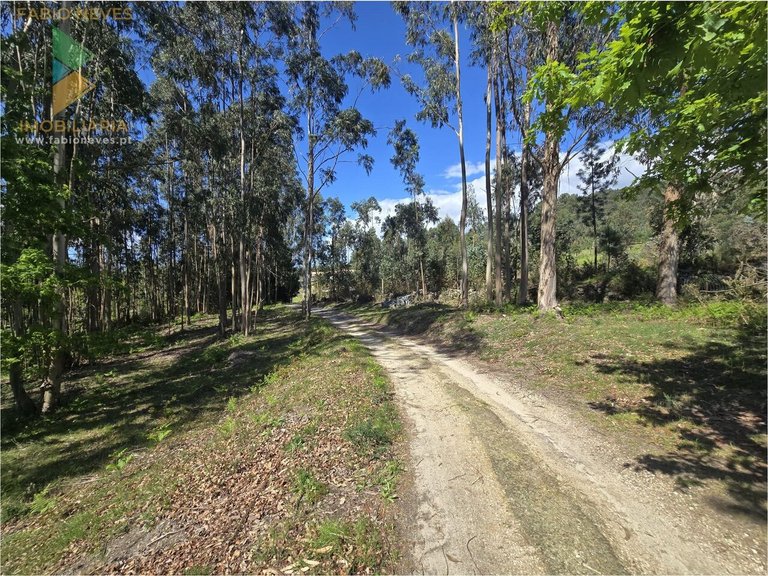 Villa for Sale in Gondoriz, Arcos De Valdevez, Portugal 22