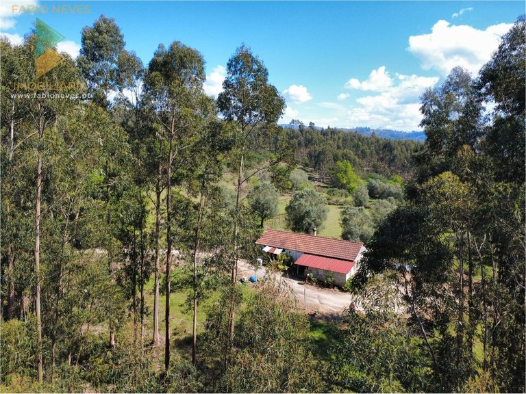 Villa for Sale in Gondoriz, Arcos De Valdevez, Portugal 14