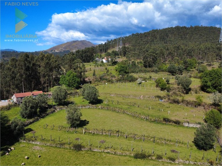 Villa for Sale in Gondoriz, Arcos De Valdevez, Portugal 18