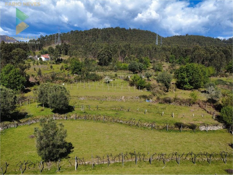 Villa for Sale in Gondoriz, Arcos De Valdevez, Portugal 19