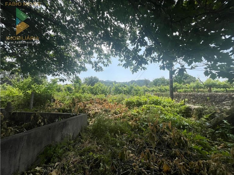 Villa for Sale in Ribeira, Ponte De Lima, Portugal 15